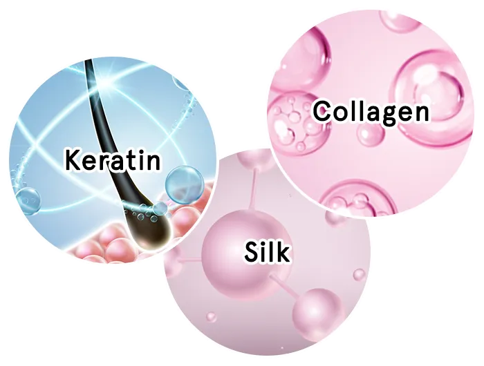 Illustration (Keratin | Silk | Collagen)